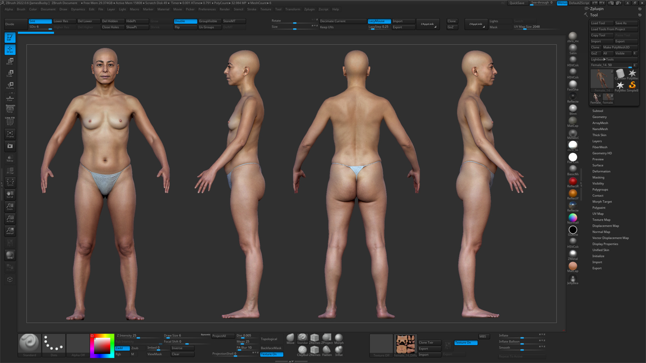 ZBrush ZTool render of a female 3D body scan at high subdivision level showing sculpt-ready mesh detail